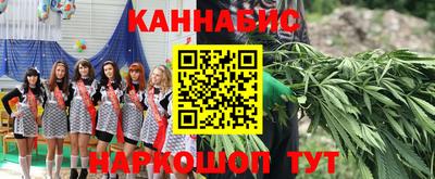 дживик Пенза