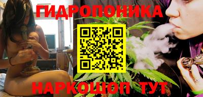 дживик Пенза