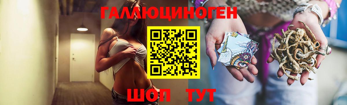 Сыктывкар  Псилоцибиновые грибы Cubensis  Вход с VPN 